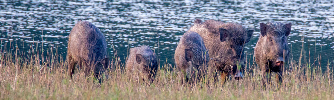Erfahrung zählt – Max berichtet aus der Praxis